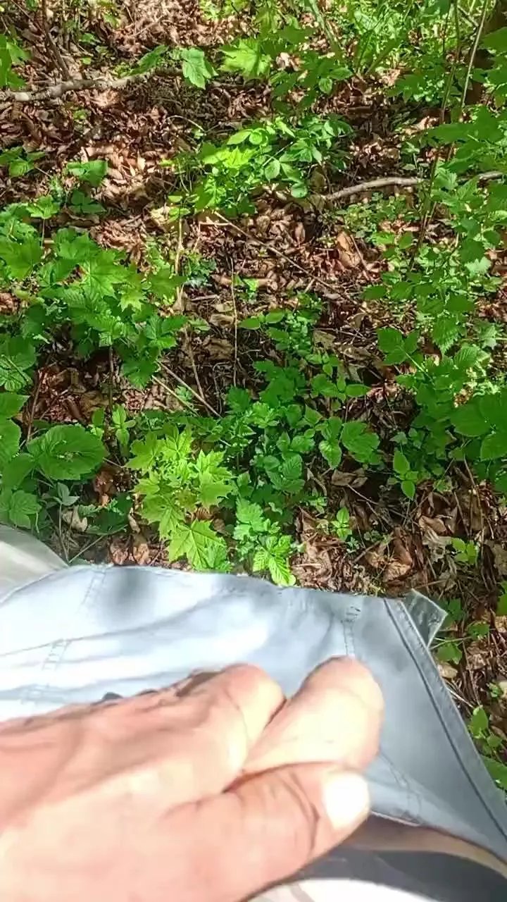 Offline 20dipassione on Cam4