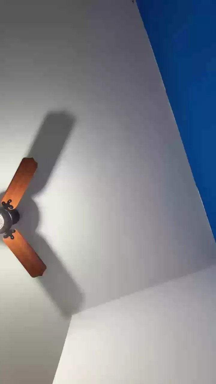 Offline Rafsnmm on Cam4